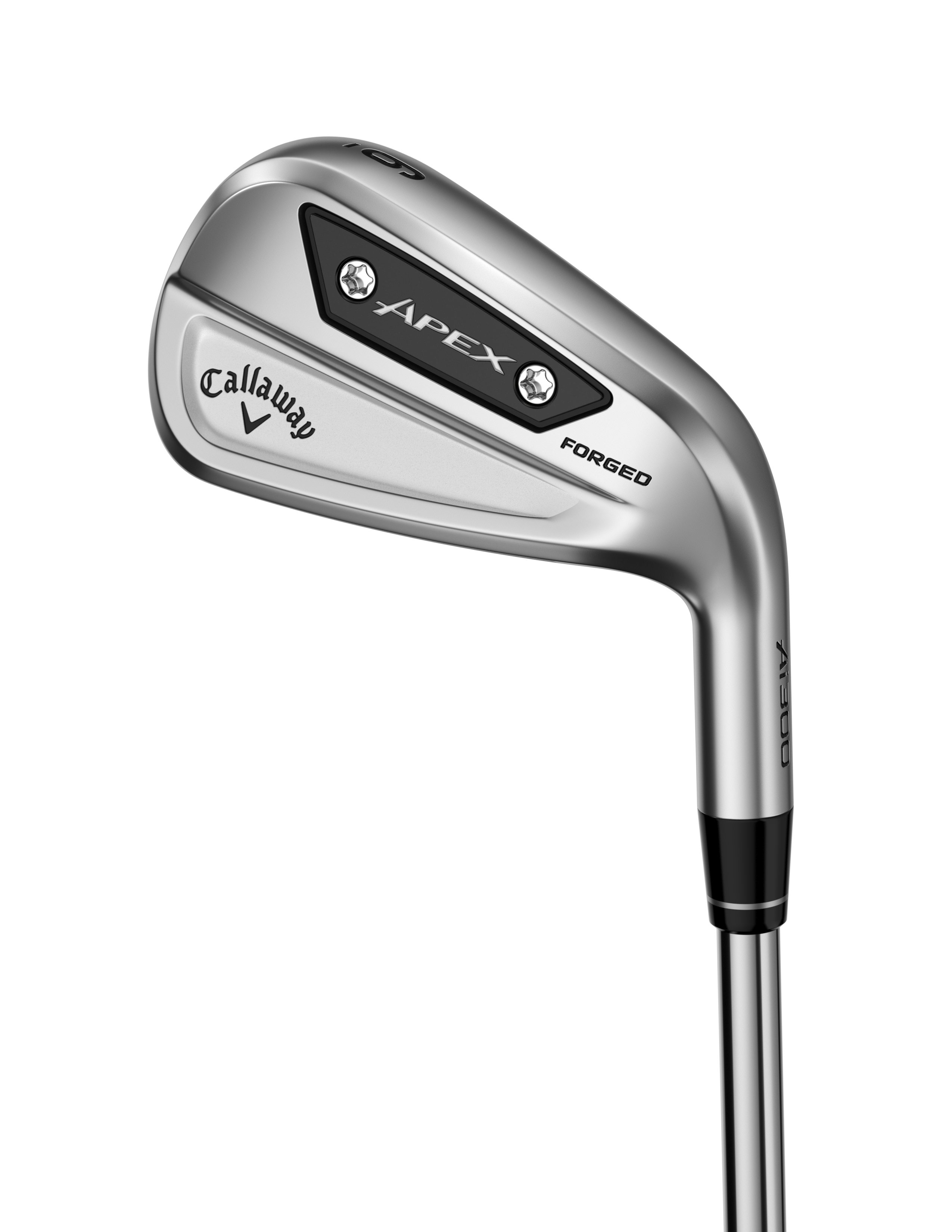 BRIDGESTONE GOLF JAPAN PHYZ #6-PW (5 clubs) IRON SET Shaft